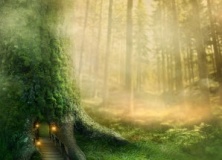 Фотообои – конёк современного дизайна Фотообои – конёк современного дизайна