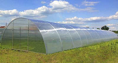 Рентабельность тепличного бизнеса Рентабельность тепличного бизнеса
