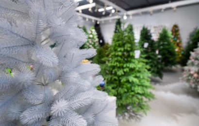 Створення новорічної атмосфери: яку ялинку купити? Створення новорічної атмосфери: яку ялинку купити?