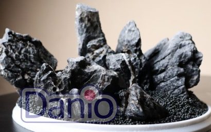 Оригинальный аквариум: как оформить Оригинальный аквариум: как оформить